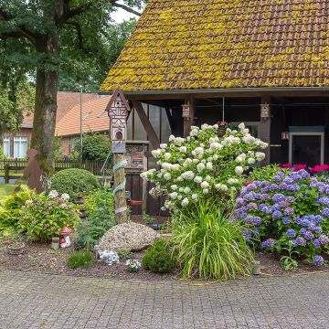 Das Haus vorne Schuppen (Groß).jpg